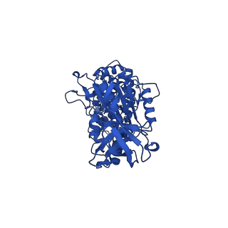 11368_6zqm_A_v1-2
bovine ATP synthase monomer state 2 (combined)