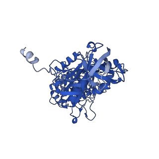 11368_6zqm_B_v1-2
bovine ATP synthase monomer state 2 (combined)