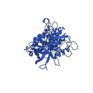 11368_6zqm_D_v1-2
bovine ATP synthase monomer state 2 (combined)