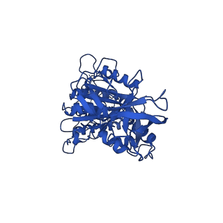11368_6zqm_E_v1-2
bovine ATP synthase monomer state 2 (combined)