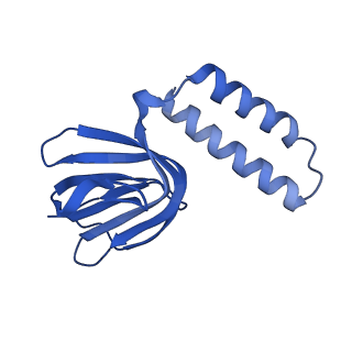 11368_6zqm_H_v1-2
bovine ATP synthase monomer state 2 (combined)