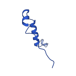 11368_6zqm_I_v1-2
bovine ATP synthase monomer state 2 (combined)