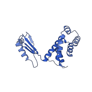 11368_6zqm_S_v1-2
bovine ATP synthase monomer state 2 (combined)