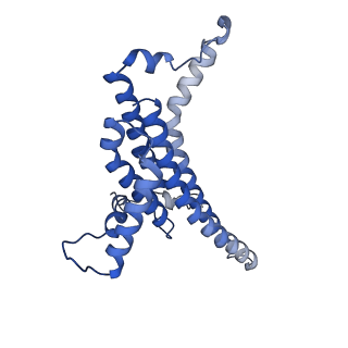 11368_6zqm_a_v1-2
bovine ATP synthase monomer state 2 (combined)