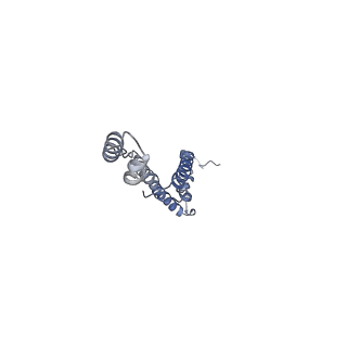 11368_6zqm_d_v1-2
bovine ATP synthase monomer state 2 (combined)