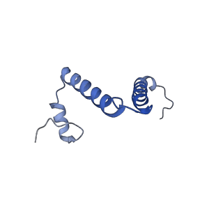 11368_6zqm_f_v1-2
bovine ATP synthase monomer state 2 (combined)