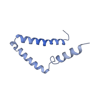 11368_6zqm_g_v1-2
bovine ATP synthase monomer state 2 (combined)