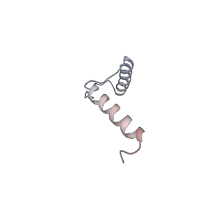 11368_6zqm_h_v1-2
bovine ATP synthase monomer state 2 (combined)