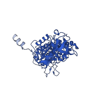 11369_6zqn_A_v1-2
bovine ATP synthase monomer state 3 (combined)