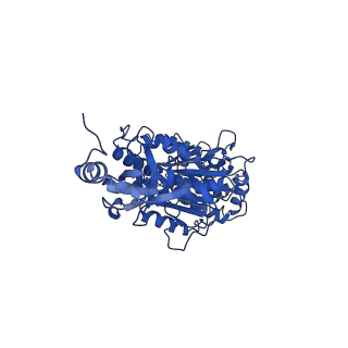 11369_6zqn_B_v1-2
bovine ATP synthase monomer state 3 (combined)