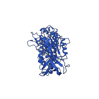 11369_6zqn_C_v1-2
bovine ATP synthase monomer state 3 (combined)