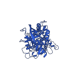 11369_6zqn_E_v1-2
bovine ATP synthase monomer state 3 (combined)