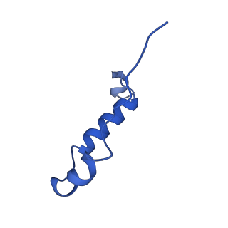 11369_6zqn_I_v1-2
bovine ATP synthase monomer state 3 (combined)
