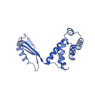 11369_6zqn_S_v1-2
bovine ATP synthase monomer state 3 (combined)