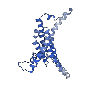 11369_6zqn_a_v1-2
bovine ATP synthase monomer state 3 (combined)
