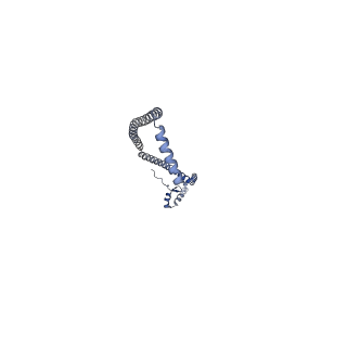 11369_6zqn_b_v1-2
bovine ATP synthase monomer state 3 (combined)