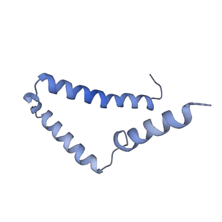 11369_6zqn_g_v1-2
bovine ATP synthase monomer state 3 (combined)