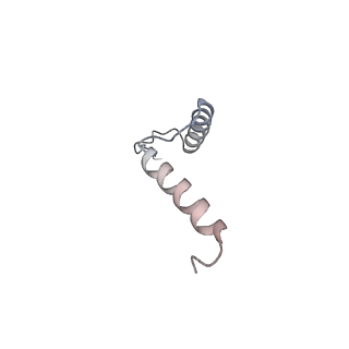 11369_6zqn_h_v1-2
bovine ATP synthase monomer state 3 (combined)