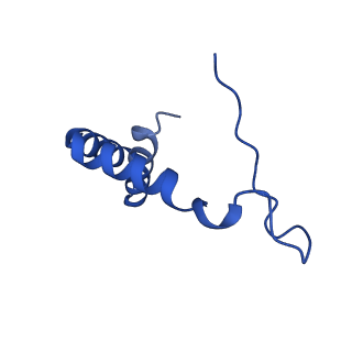 11371_6zqv_F_v1-0
Cryo-EM structure of mature Spondweni virus