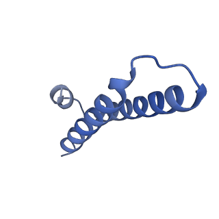 14864_7zq5_1_v1-0
70S E. coli ribosome with truncated uL23 and uL24 loops
