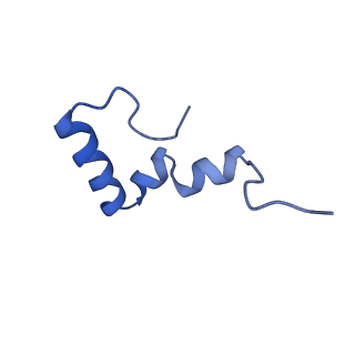 14864_7zq5_6_v1-0
70S E. coli ribosome with truncated uL23 and uL24 loops