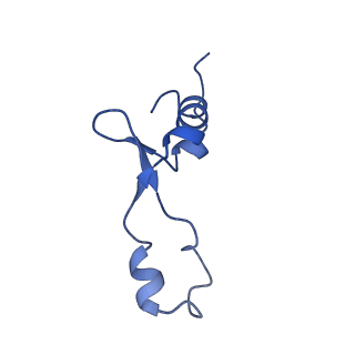 14864_7zq5_7_v1-0
70S E. coli ribosome with truncated uL23 and uL24 loops
