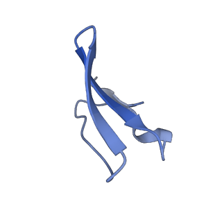 14864_7zq5_8_v1-0
70S E. coli ribosome with truncated uL23 and uL24 loops