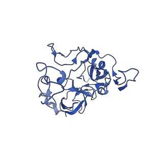 14864_7zq5_c_v1-0
70S E. coli ribosome with truncated uL23 and uL24 loops