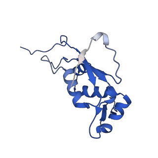 14864_7zq5_j_v1-0
70S E. coli ribosome with truncated uL23 and uL24 loops