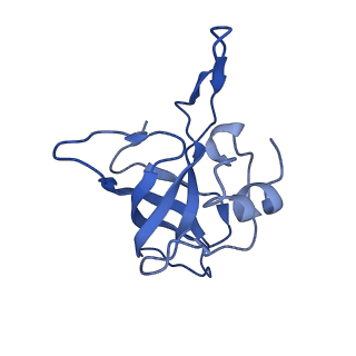 14864_7zq5_k_v1-0
70S E. coli ribosome with truncated uL23 and uL24 loops