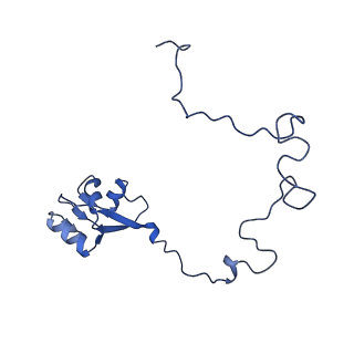 14864_7zq5_l_v1-0
70S E. coli ribosome with truncated uL23 and uL24 loops