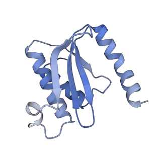 14864_7zq5_o_v1-0
70S E. coli ribosome with truncated uL23 and uL24 loops