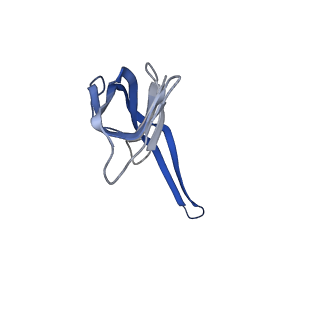 14864_7zq5_r_v1-0
70S E. coli ribosome with truncated uL23 and uL24 loops