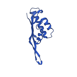 14864_7zq5_s_v1-0
70S E. coli ribosome with truncated uL23 and uL24 loops