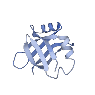 14864_7zq5_w_v1-0
70S E. coli ribosome with truncated uL23 and uL24 loops