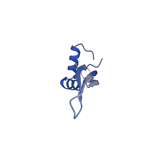 14865_7zq6_0_v1-0
70S E. coli ribosome with truncated uL23 and uL24 loops and a stalled filamin domain 5 nascent chain