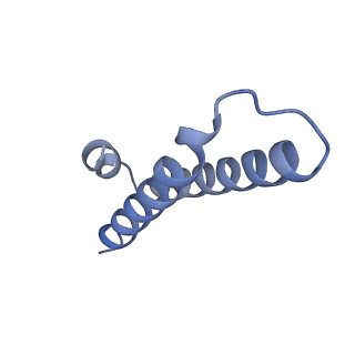 14865_7zq6_1_v1-0
70S E. coli ribosome with truncated uL23 and uL24 loops and a stalled filamin domain 5 nascent chain