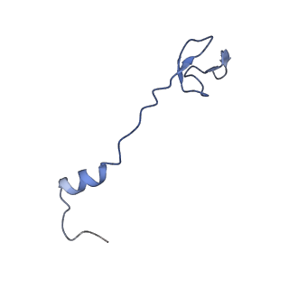 14865_7zq6_3_v1-0
70S E. coli ribosome with truncated uL23 and uL24 loops and a stalled filamin domain 5 nascent chain