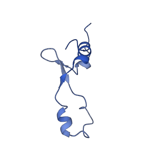 14865_7zq6_7_v1-0
70S E. coli ribosome with truncated uL23 and uL24 loops and a stalled filamin domain 5 nascent chain