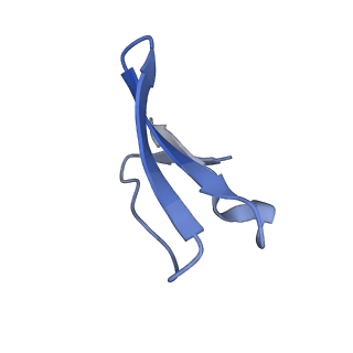 14865_7zq6_8_v1-0
70S E. coli ribosome with truncated uL23 and uL24 loops and a stalled filamin domain 5 nascent chain