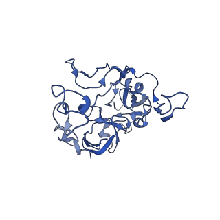14865_7zq6_c_v1-0
70S E. coli ribosome with truncated uL23 and uL24 loops and a stalled filamin domain 5 nascent chain