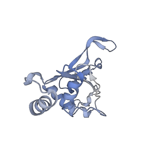 14865_7zq6_f_v1-0
70S E. coli ribosome with truncated uL23 and uL24 loops and a stalled filamin domain 5 nascent chain