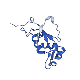 14865_7zq6_j_v1-0
70S E. coli ribosome with truncated uL23 and uL24 loops and a stalled filamin domain 5 nascent chain