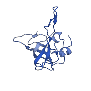 14865_7zq6_k_v1-0
70S E. coli ribosome with truncated uL23 and uL24 loops and a stalled filamin domain 5 nascent chain