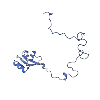 14865_7zq6_l_v1-0
70S E. coli ribosome with truncated uL23 and uL24 loops and a stalled filamin domain 5 nascent chain