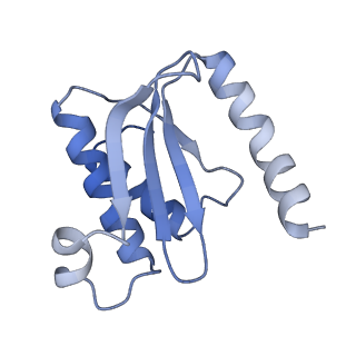 14865_7zq6_o_v1-0
70S E. coli ribosome with truncated uL23 and uL24 loops and a stalled filamin domain 5 nascent chain