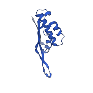 14865_7zq6_s_v1-0
70S E. coli ribosome with truncated uL23 and uL24 loops and a stalled filamin domain 5 nascent chain