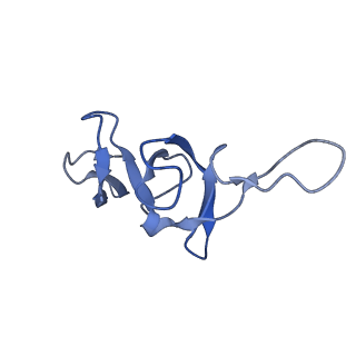 14865_7zq6_u_v1-0
70S E. coli ribosome with truncated uL23 and uL24 loops and a stalled filamin domain 5 nascent chain