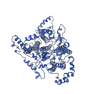 14867_7zq9_A_v1-0
Dimeric PSI of Chlamydomonas reinhardtii at 2.74 A resolution (symmetry expanded)