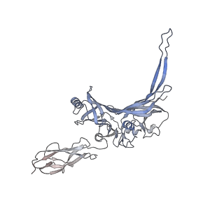 14869_7zqb_C_v1-1
Tail tip of siphophage T5 : full structure